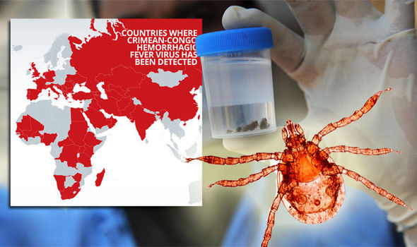 Deadly CCHF virus poses UK outbreak risk