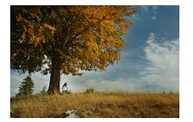 Living your life effectively