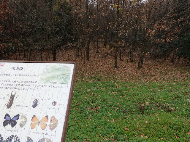 むきばんだ史跡公園　虫の森