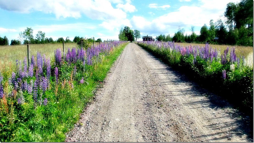 Tisselskog tour-01-5411