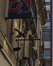 Palomas