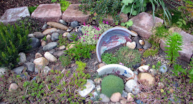 Rock Garden Ideas Flower Photograph | This is my mini rock g