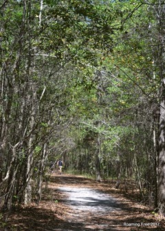 Bolen Bluff Trail