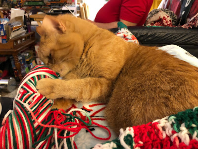 Orange cat with Christmas yarn