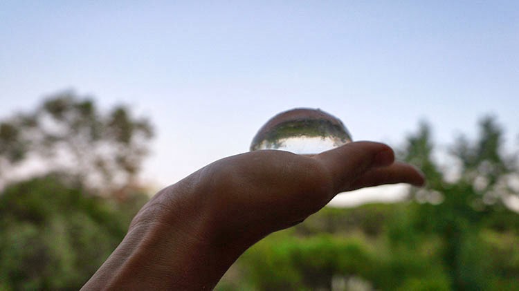 3028012-slide-ooho2.jpg