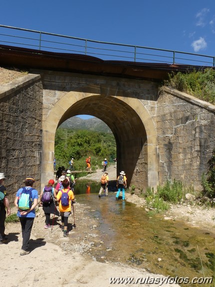 Estación de Cortes - Estación de Benaoján por el sendero del río Guadiaro