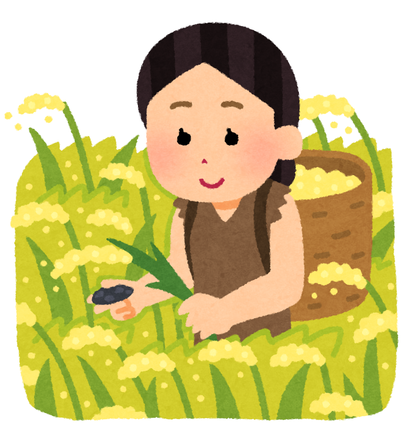 稲作のイラスト 女性 かわいいフリー素材集 いらすとや