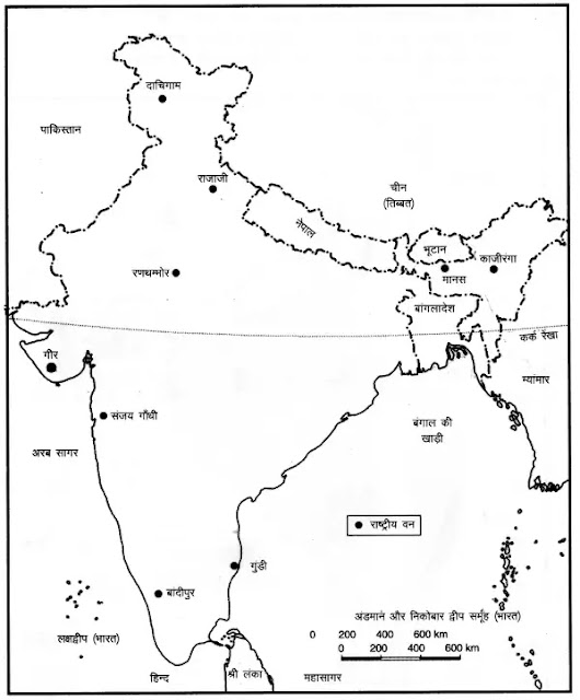 NCERT Solutions for Class 9 Social Science Geography Chapter 5 Natural Vegetation and Wildlife प्राकृतिक वनस्पति तथा वन्य प्राणी