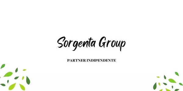 Sorgenta Group