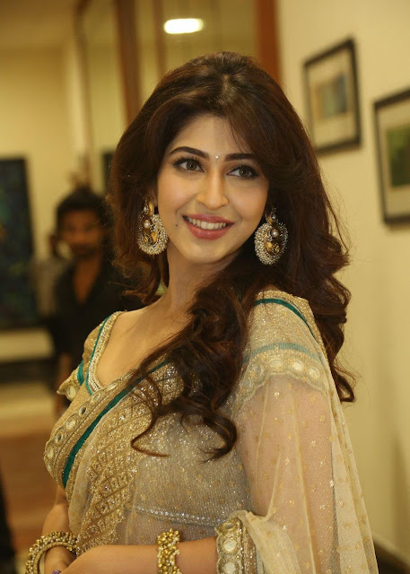 Sonarika Bhadoria Super Sexy in Backless Saree at Eedorakam Aadorakam Audio Launch