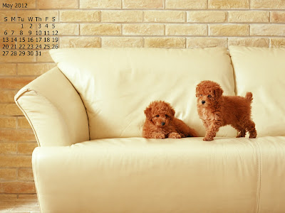 calendar_mai 2012