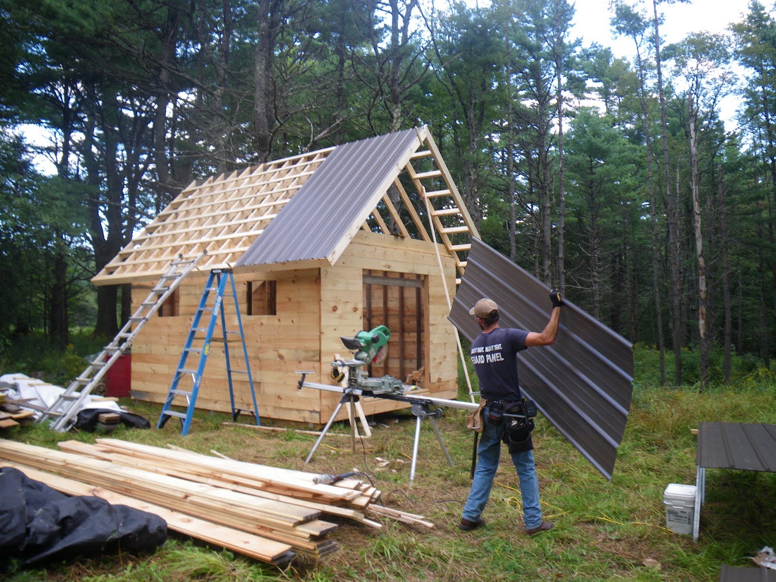 The Tale of Wags: Roofing in Metal