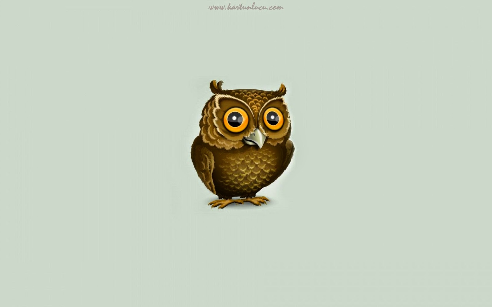Koleksi Gambar Wallpaper Owl Lucu Bilik Wallpaper