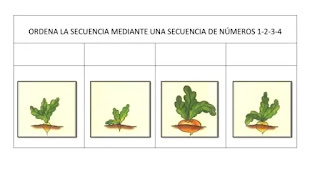 https://www.orientacionandujar.es/2017/02/09/ordenamos-secuencias-temporales-fichas-1-10/ordenamos-secuencias-temporales-fichas-1-1011/