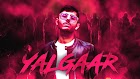 यलगार YALGAAR LYRICS IN HINDI - CARRYMINATI