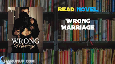 Read Wrong Marriage Novel Full Episode