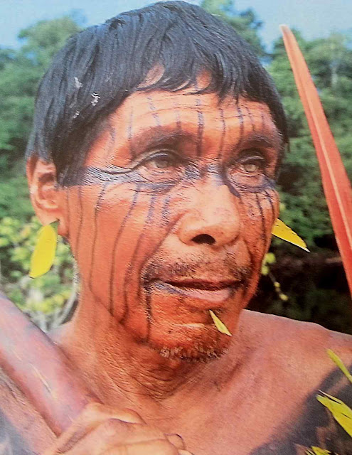 Pajés e bruxos diversos são membros naturais da casta sacerdotal da 'igreja panamazônica'.