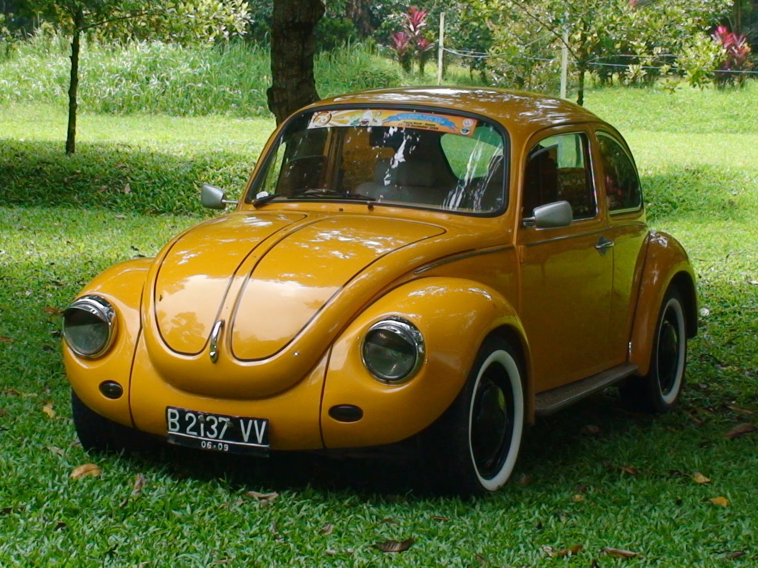 Style VW kodok