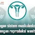 Hubungan Sistem Muskuloskeletal Dengan Reproduksi Wanita