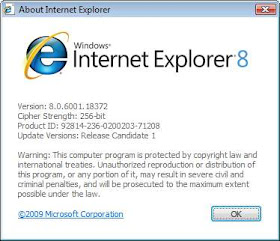 About Internet Explorer 8 RC1