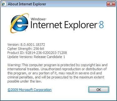 About Internet Explorer 8 RC1