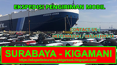 EXPEDISI PENGIRIMAN MOBIL [PICK UP, TRUK CDD, FUSO, TRONTON, TRAILER, DUMP TRUCK] KIGAMANI DOGIYAI PAPUA MURAH