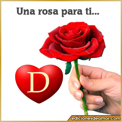 una rosa para ti D