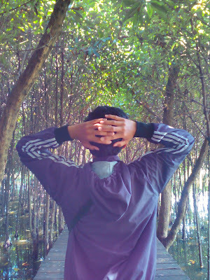 mangrove Wonorejo Surabaya