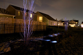 light painting highlight trees and stones