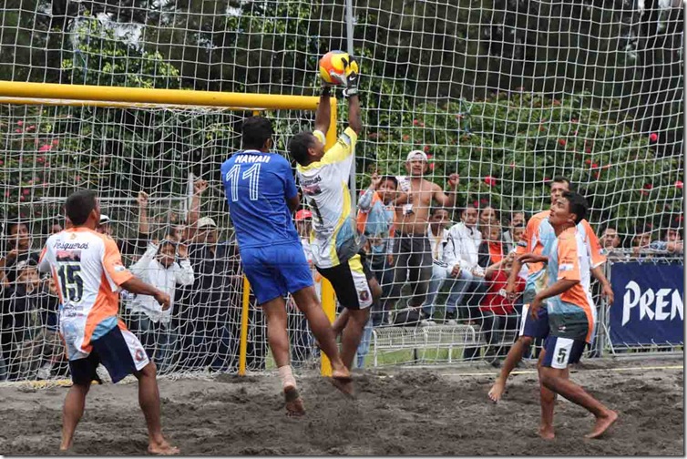 final futbolplayatorneo apertura2010 063