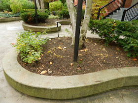 Downtown Courtyard Toronto Fall Cleanup After by Paul Jung Gardening Services--a Toronto Gardening Services Company