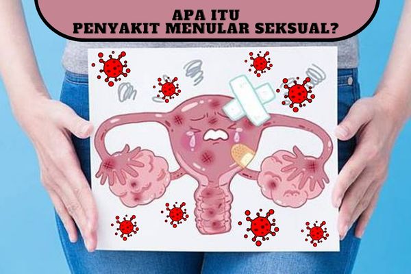 apa itu penyakit menular seksual