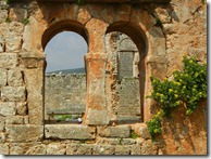 DSCN2551