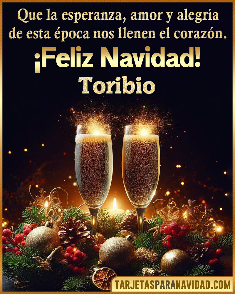 Tarjetitas de navidad para Toribio