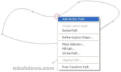 seleksi photoshop pen path 8