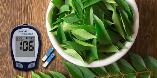 HOW TO CURE DIABETES WITH NEEM LEAVES