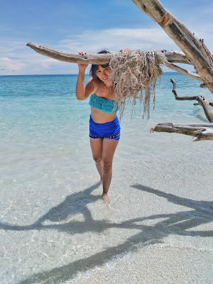 panikian island white sand pitogo zamboanga del sur turtle island pawikan