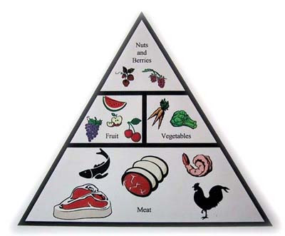 five food groups for kids. Food Groups Pyramid For Kids