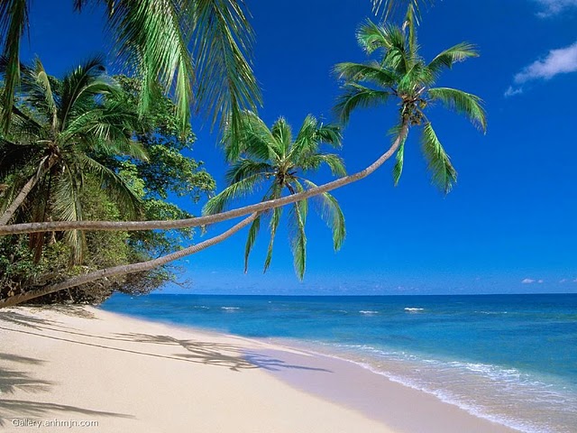 gambar pantai keren dan cantik begitu indah