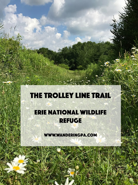 The Trolley Line Trail at the Erie National Wildlife Refuge www.wanderingpa.com