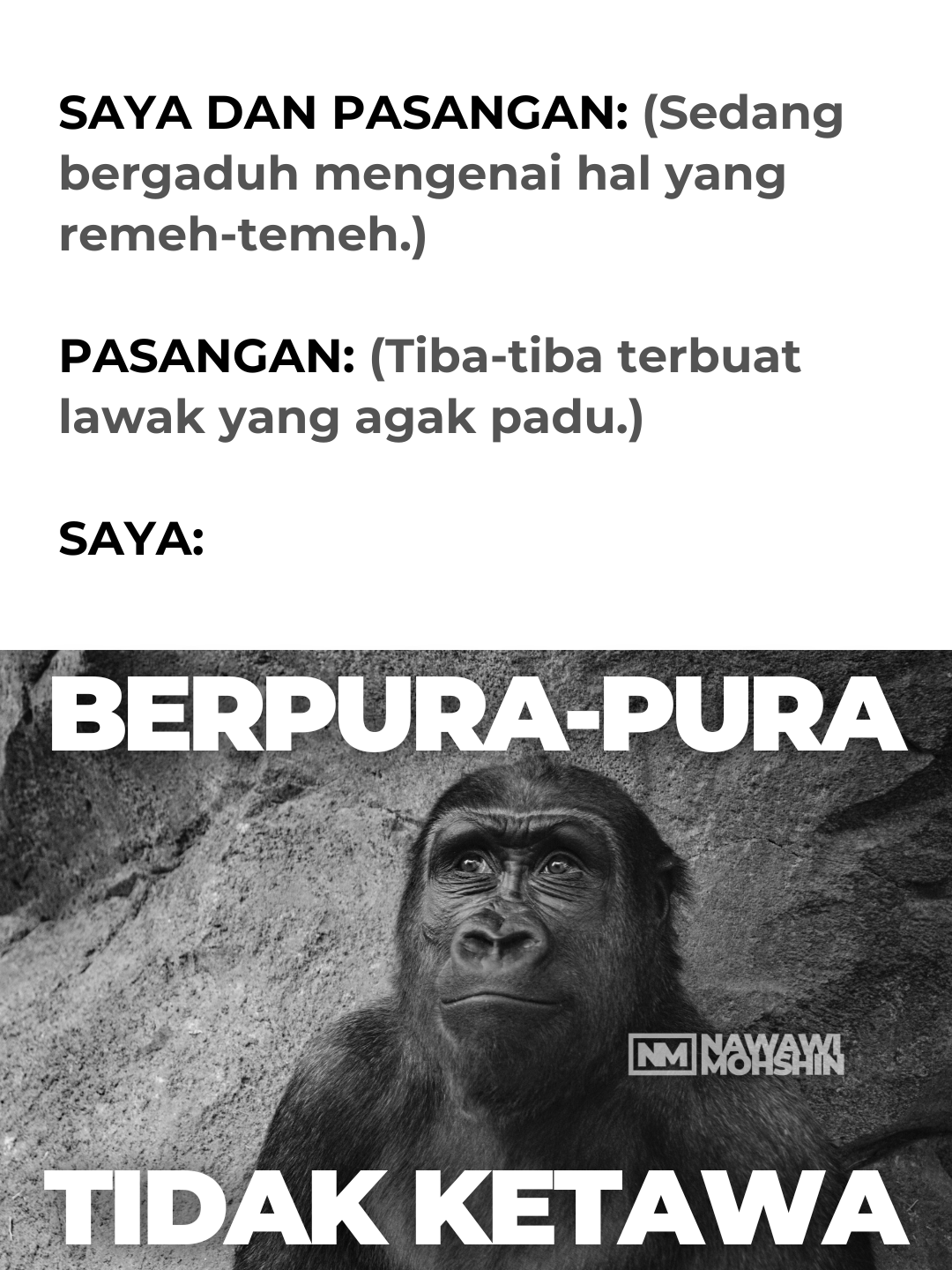 Meme Bahasa Melayu oleh Nawawi Mohshin