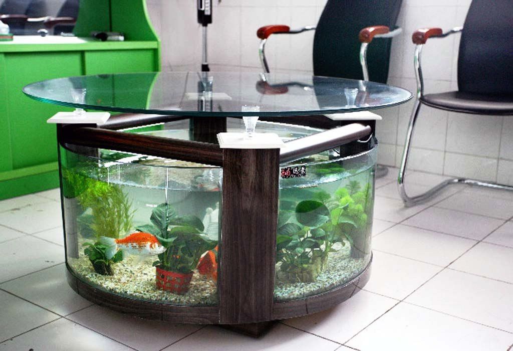  35 contoh model  dan harga meja tamu aquarium  unik dari  