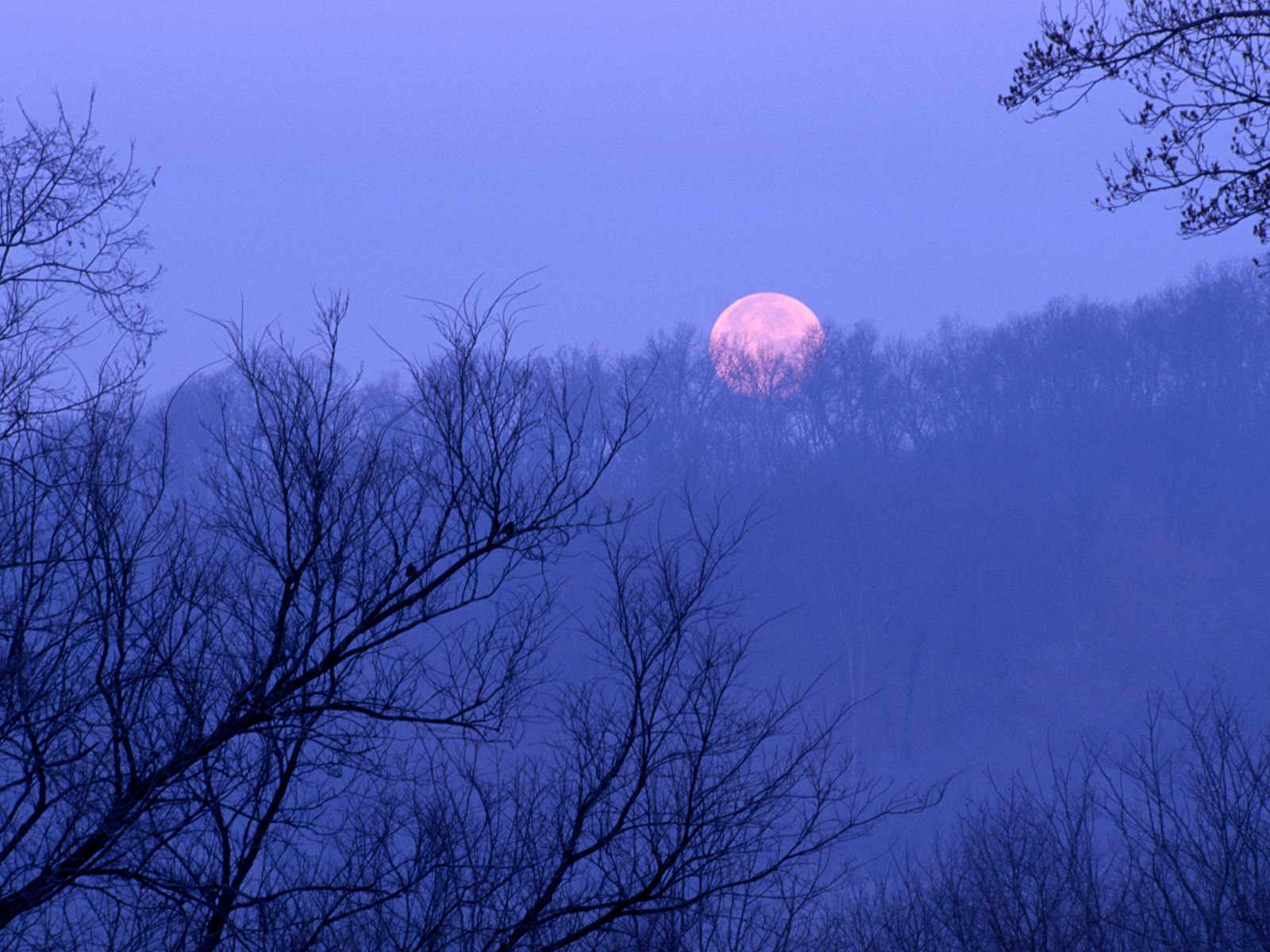 ... wallpapers: Foggy Morn, Red River Gorge, Daniel Boone National Forest