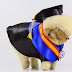 Ecodoe Graduation Sheep