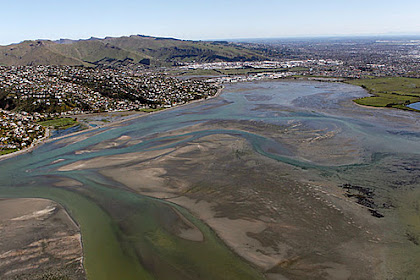 Estuary, rivers, beaches are all clean! Surfs up for summer!