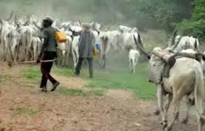 Fulani Herdsmen Demand Four Percent Of Bauchi Land To End Clashes