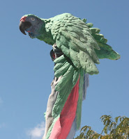 Bird Statue