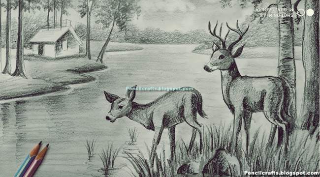 Line Drawings Of Deer