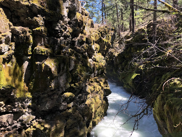 River running through large rocky bluffs with moss on them