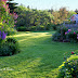Early Summer Garden Tour